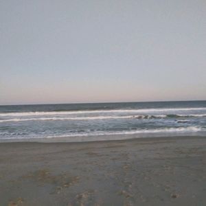 Fishoutofwater3